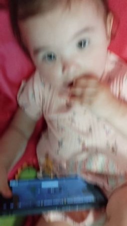 petal_20250705_235613.mp4