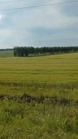 Села Онучино и Ореховец Дивеевский район#россия #матушказемля #дивеево