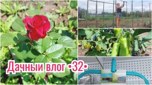 ДАЧНЫЕ РАБОТЫ 🏡 ЕДЕМ НА АВТОБУСЕ // ПОКУПКА ДЛЯ БАССЕЙНА // ПОДВЯЗАЛА ОГУРЦЫ и ПОМИДОРЫ