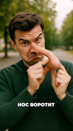 Образные выражения – неотъемлемая часть русского языка 🤪