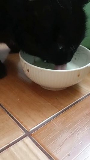 1000001656.mp4