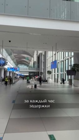 Что делать если ваш рейс перенесли или отменили?