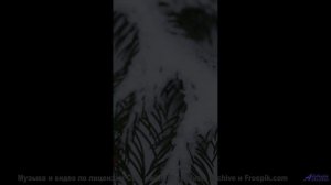 Ты ещё не слышал, как природа может звучать так мощно - Come Hell Come Sunshine -- Tadz -- My Way, A