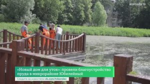«Новый дом для уток»: провели благоустройство пруда в микрорайоне Юбилейный
