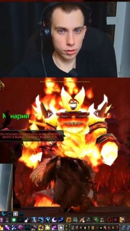 Квест на Рагнароса — огонь приближается 🔥 | WoW Classic