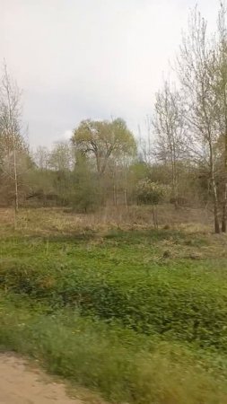 Дорога.