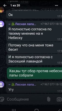 Гроза и Лесная Лапа объяснение что это?!