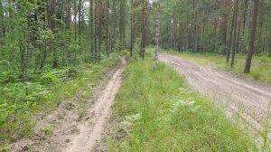 Вечерний коп в лесу в последний день отпуска и зачётные находки. (2025г. Марий Эл)