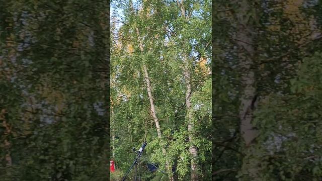 Какие раньше были красивые песни 🥹  #русскиенародныепесни #русскаякультура #русскоенаследие