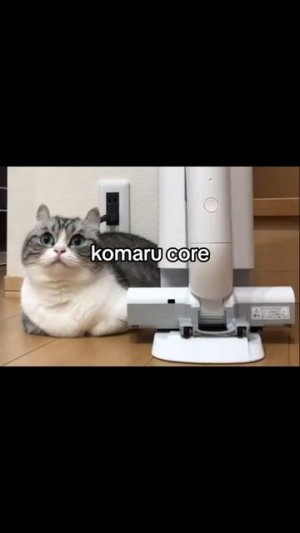 komaru core