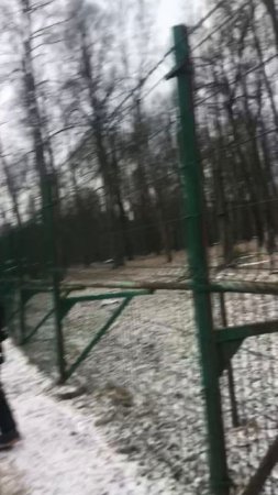 Экскурсия