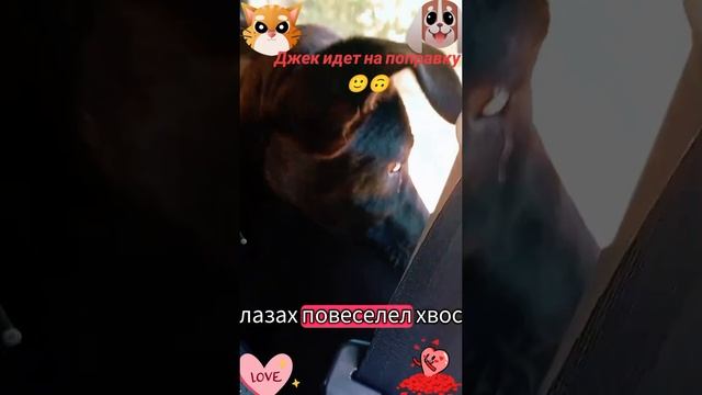 Джек идет на поправку