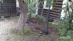 Делаем вольер в Рязани.