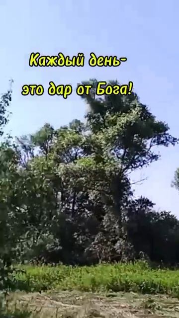 позитивчик🎼🌱 смотреть онлайн