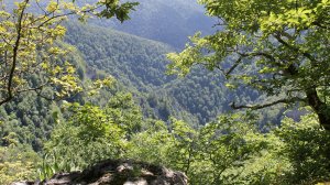 Апшеронский район. Поёт народный хор  им. В. Бегинина г.  Апшеронск