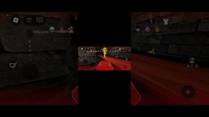 играю в зоо на roblox
