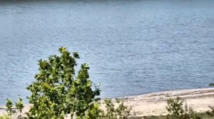 Ольховское водохранилище (Шахтерск) сегодня😱