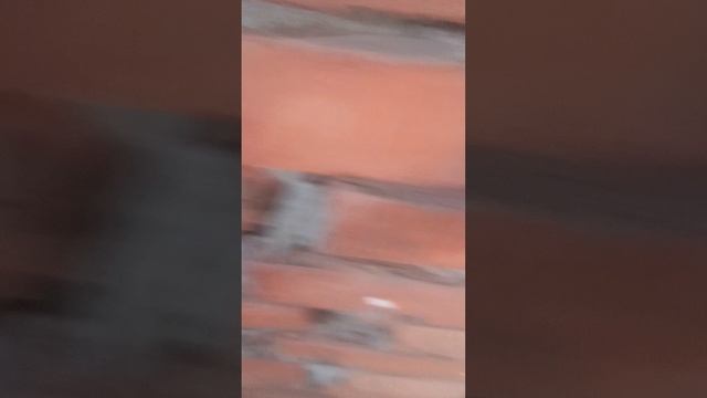 БРО в ЗАБРОШЕНАМ ОСОБНЯКЕ
