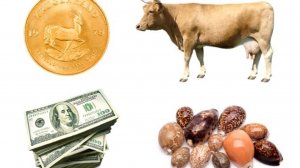 LESSON   ➤THE HISTORY OF MONEY