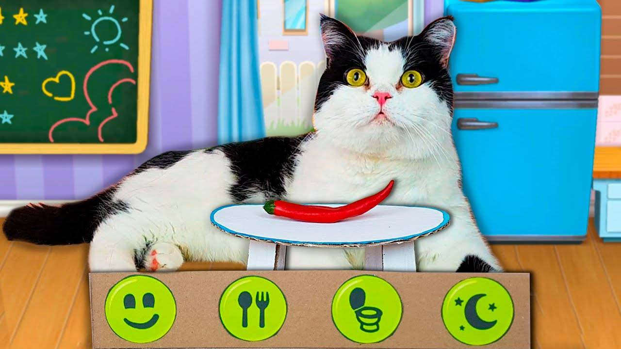 Мой Говорящий Кот Том в Реальной Жизни смотреть онлайн