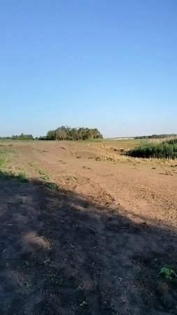 Продолжаю деревенские хроники