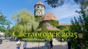 Светлогорск 2025