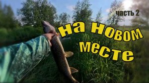 Рыбачу в Хантах второй вечер (продолжение)