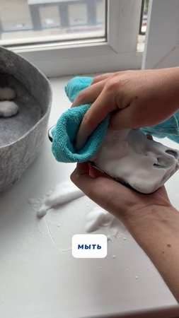 Бактерии на чехле