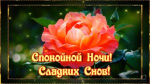 Спокойной Ночи!  Сладких Снов! Пусть тебе приснится то, что принесет радость и умиротворение.💌🌙⭐💎