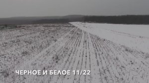 Черное и белое