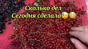 Столько дел сегодня переделала!😓