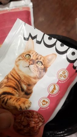 Чем кормить кота Васю. Корм на пробу.
