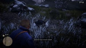 Прохождение RDR2 перестрелка