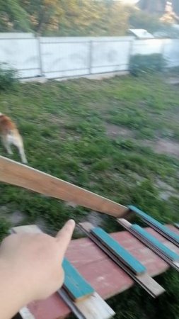 VID_20250705_203434.mp4