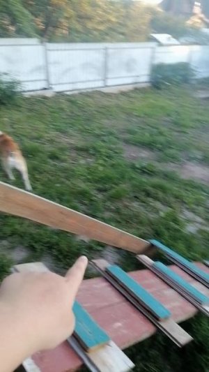 VID_20250705_203434.mp4