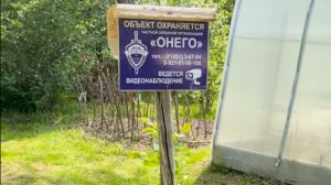 Короткометражный фильм  « Уголовный Розыск»