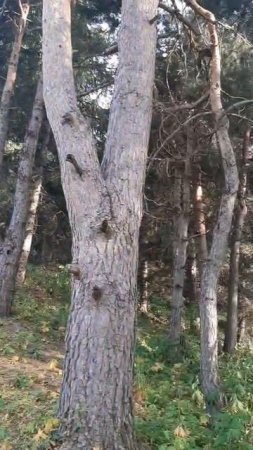 Это моя любимая место