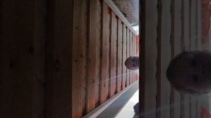 Мой мини уголок