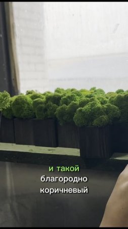 Деревянные кашпо со мхом для корпоративных клиентов
