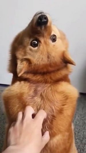 Эффективное упражнение от боли в шее