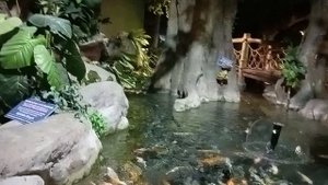 Большой Адлерский океанариум. Часть 1