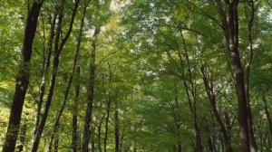 6 июля - День исполнения желаний.