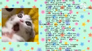 so silly cat playlist :D