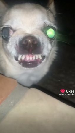 1000002815.mp4