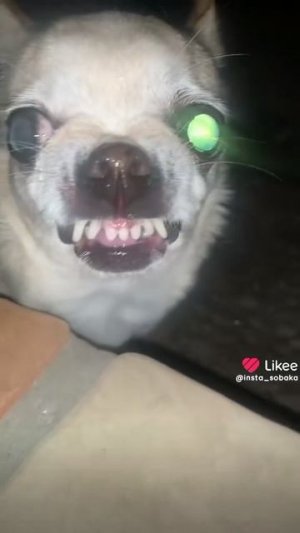 1000002815.mp4