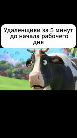 Всем удаленщикам посвящается)))