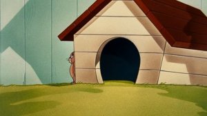 053 - The Framed Cat (21.10.1950)
