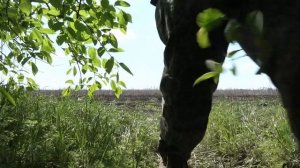 Подготовка дрона к выполнению задачи