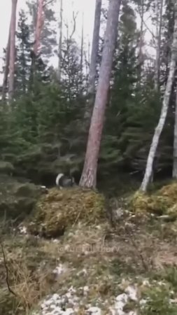 Ох уж эти защитники!))).MP4