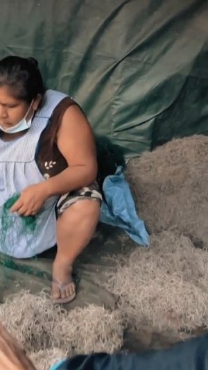 🇧🇴 🎁 ASÍ se FESTEJA en COCHABAMBA ► Bolivia🎀 #1 #shorts